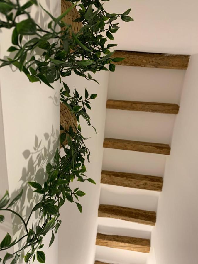 Apartaments Impro Mora d'Ebre Zewnętrze zdjęcie